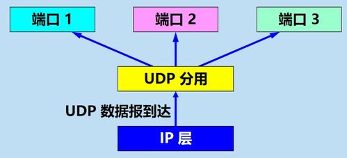 计算机网络 用户数据报协议 UDP